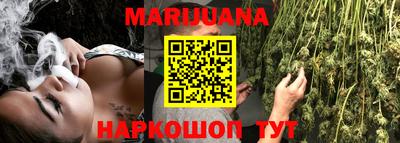 амф Бийск