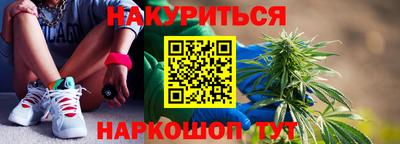 амф Бийск