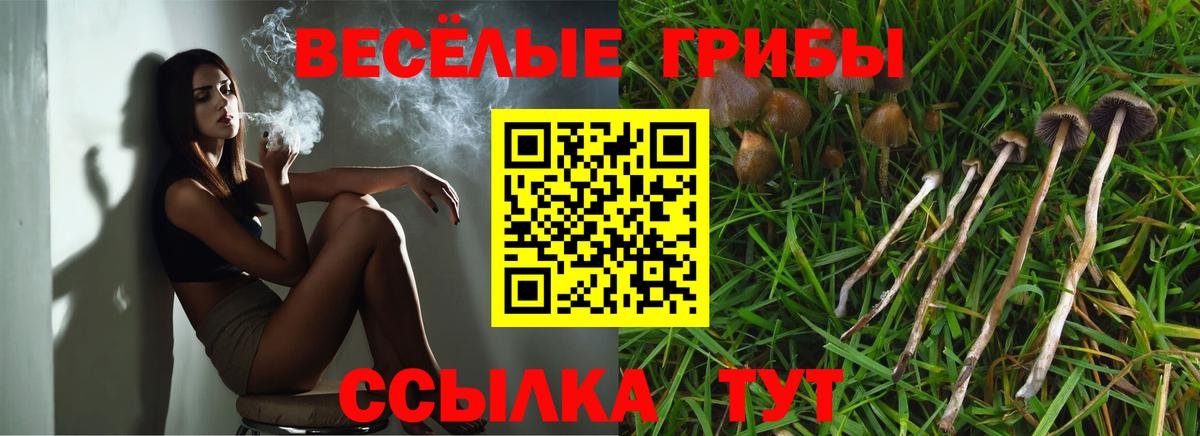 Галлюциногенные грибы GOLDEN TEACHER Кольчугино