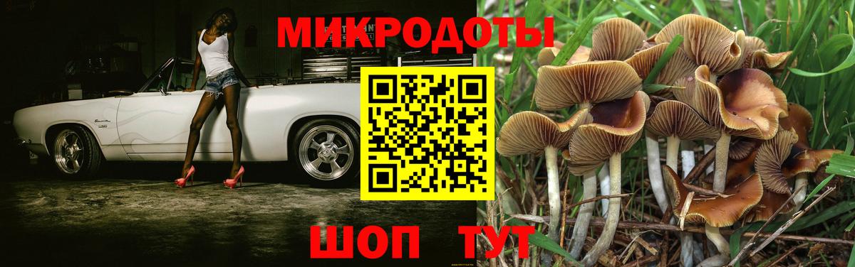Псилоцибиновые грибы Magic Shrooms  Вход с VPN  Кольчугино 